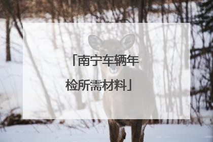 南宁车辆年检所需材料