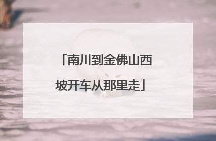 南川到金佛山西坡开车从那里走