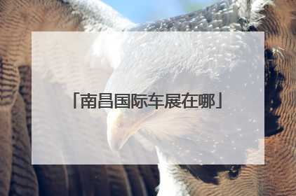 南昌国际车展在哪