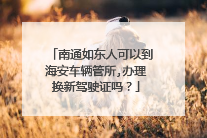 南通如东人可以到海安车辆管所,办理换新驾驶证吗？