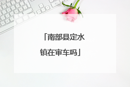 南部县定水镇在审车吗