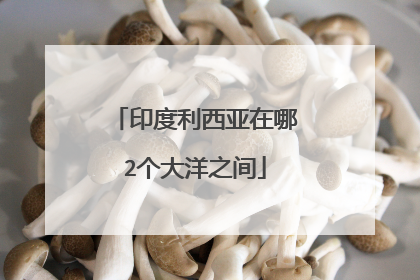 印度利西亚在哪2个大洋之间