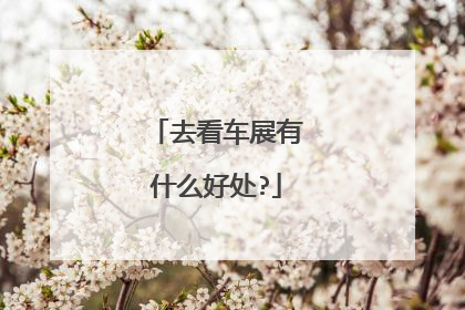 去看车展有什么好处?