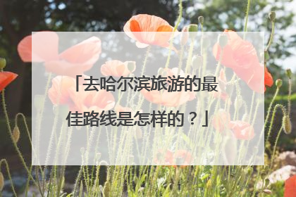 去哈尔滨旅游的最佳路线是怎样的？