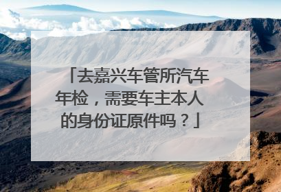 去嘉兴车管所汽车年检，需要车主本人的身份证原件吗？