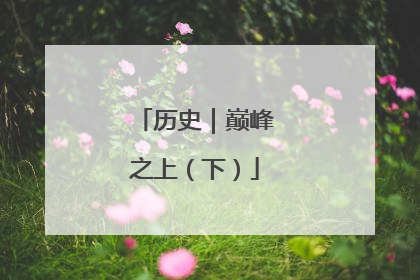 历史｜巅峰之上（下）