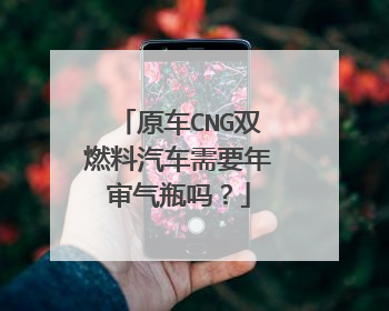 原车CNG双燃料汽车需要年审气瓶吗？