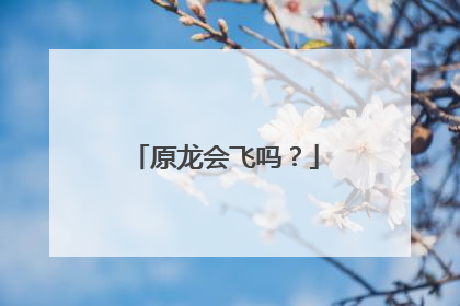 原龙会飞吗？