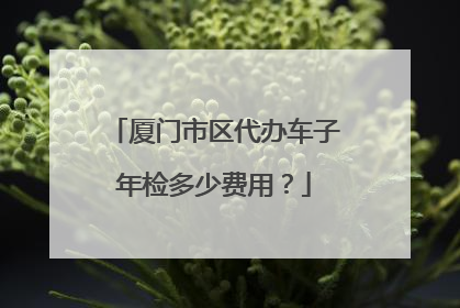 厦门市区代办车子年检多少费用？
