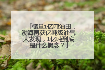 储量1亿吨油田，渤海再获亿吨级油气大发现，1亿吨到底是什么概念？