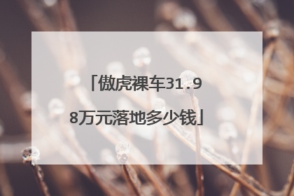 傲虎裸车31.98万元落地多少钱