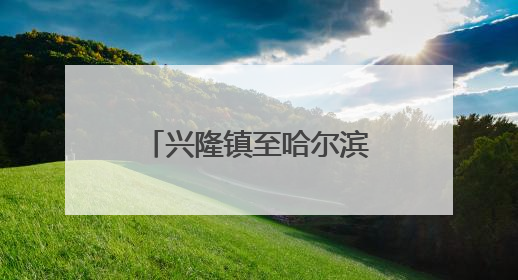 兴隆镇至哈尔滨高速路昨天早晨发生的车祸现场