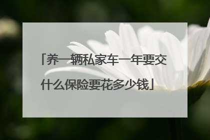 养一辆私家车一年要交什么保险要花多少钱