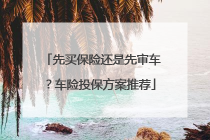 先买保险还是先审车？车险投保方案推荐
