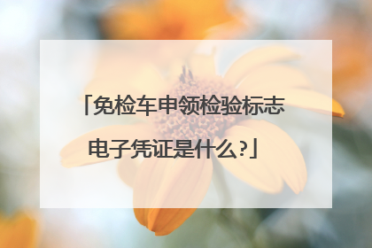 免检车申领检验标志电子凭证是什么?