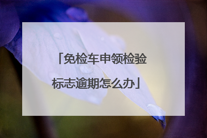 免检车申领检验标志逾期怎么办