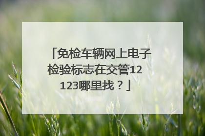 免检车辆网上电子检验标志在交管12123哪里找？