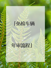 免检车辆年审流程