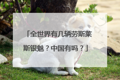 全世界有几辆劳斯莱斯银魅？中国有吗？