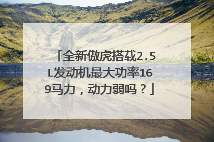 全新傲虎搭载2.5L发动机最大功率169马力，动力弱吗？