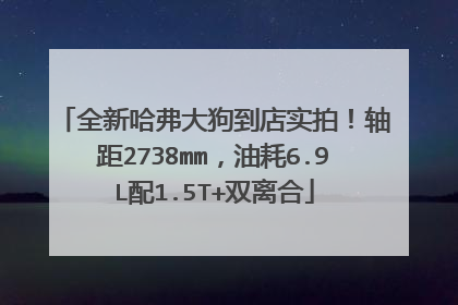 全新哈弗大狗到店实拍！轴距2738mm，油耗6.9L配1.5T+双离合