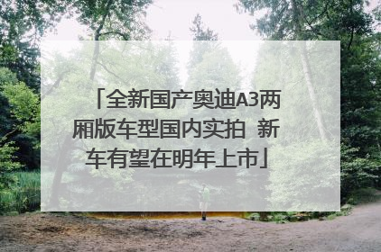 全新国产奥迪A3两厢版车型国内实拍 新车有望在明年上市