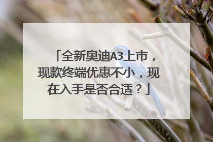 全新奥迪A3上市，现款终端优惠不小，现在入手是否合适？