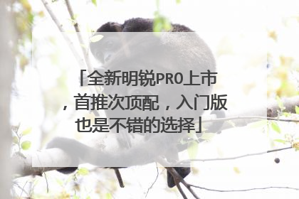 全新明锐PRO上市，首推次顶配，入门版也是不错的选择