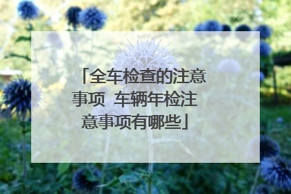 全车检查的注意事项 车辆年检注意事项有哪些