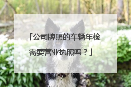 公司牌照的车辆年检需要营业执照吗？