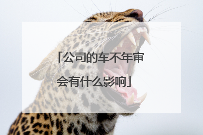 公司的车不年审会有什么影响