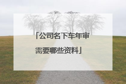 公司名下车年审需要哪些资料