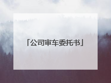 公司审车委托书
