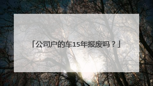 公司户的车15年报废吗？