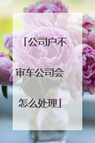 公司户不审车公司会怎么处理