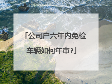 公司户六年内免检车辆如何年审?