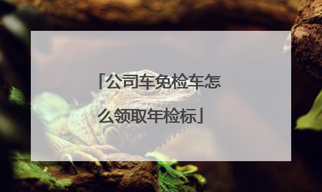 公司车免检车怎么领取年检标