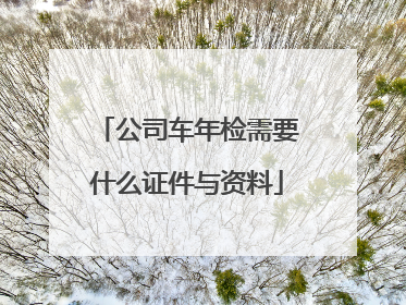 公司车年检需要什么证件与资料
