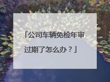公司车辆免检年审过期了怎么办？