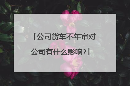 公司货车不年审对公司有什么影响?