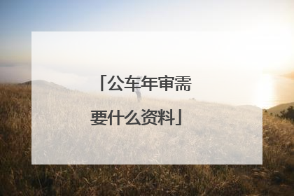 公车年审需要什么资料