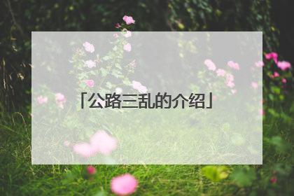 公路三乱的介绍