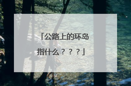公路上的环岛指什么？？？
