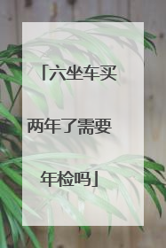 六坐车买两年了需要年检吗
