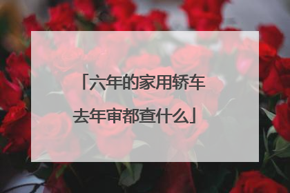 六年的家用轿车去年审都查什么