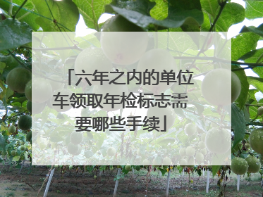 六年之内的单位车领取年检标志需要哪些手续