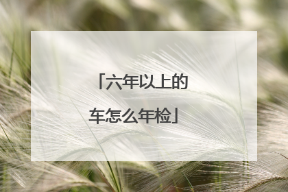 六年以上的车怎么年检
