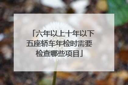 六年以上十年以下五座轿车年检时需要检查哪些项目