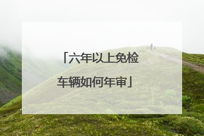 六年以上免检车辆如何年审