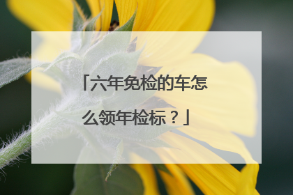 六年免检的车怎么领年检标？